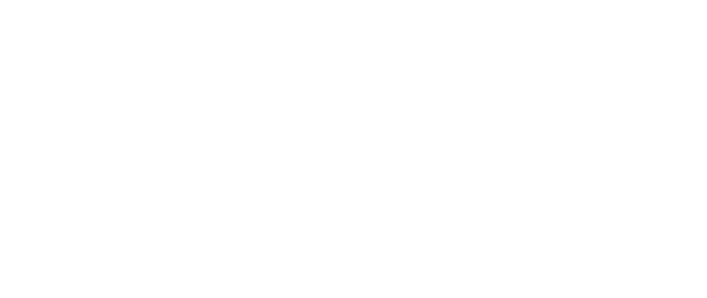 Logo Institute for Artificial Intelligence (blanc)